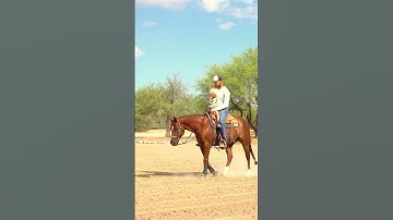 We are all allowed to have favorites right? #reining #reiningmasterclass #horsetrainingtips