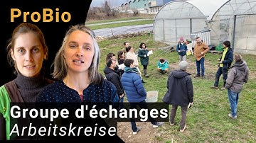 Animer pour innover ensemble - Les groupes d