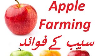 Apple farming Tips