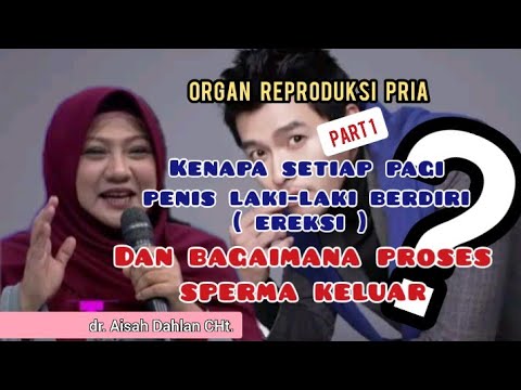 Kenapa setiap pagi p*n!5 pria berd!r* ? - dr. Aisah Dahlan CHt.