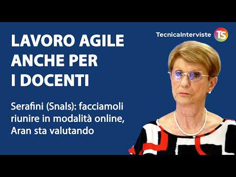 Video Scuola, facciamo online i collegi docenti, consigli di classe e dIstituto: richiesta Snals allAran
