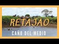 RETAJAO - CAÑO DEL MEDIO. Arreo de ganado. Llanos de Venezuela y Colombia. Videos llaneros. Campo.