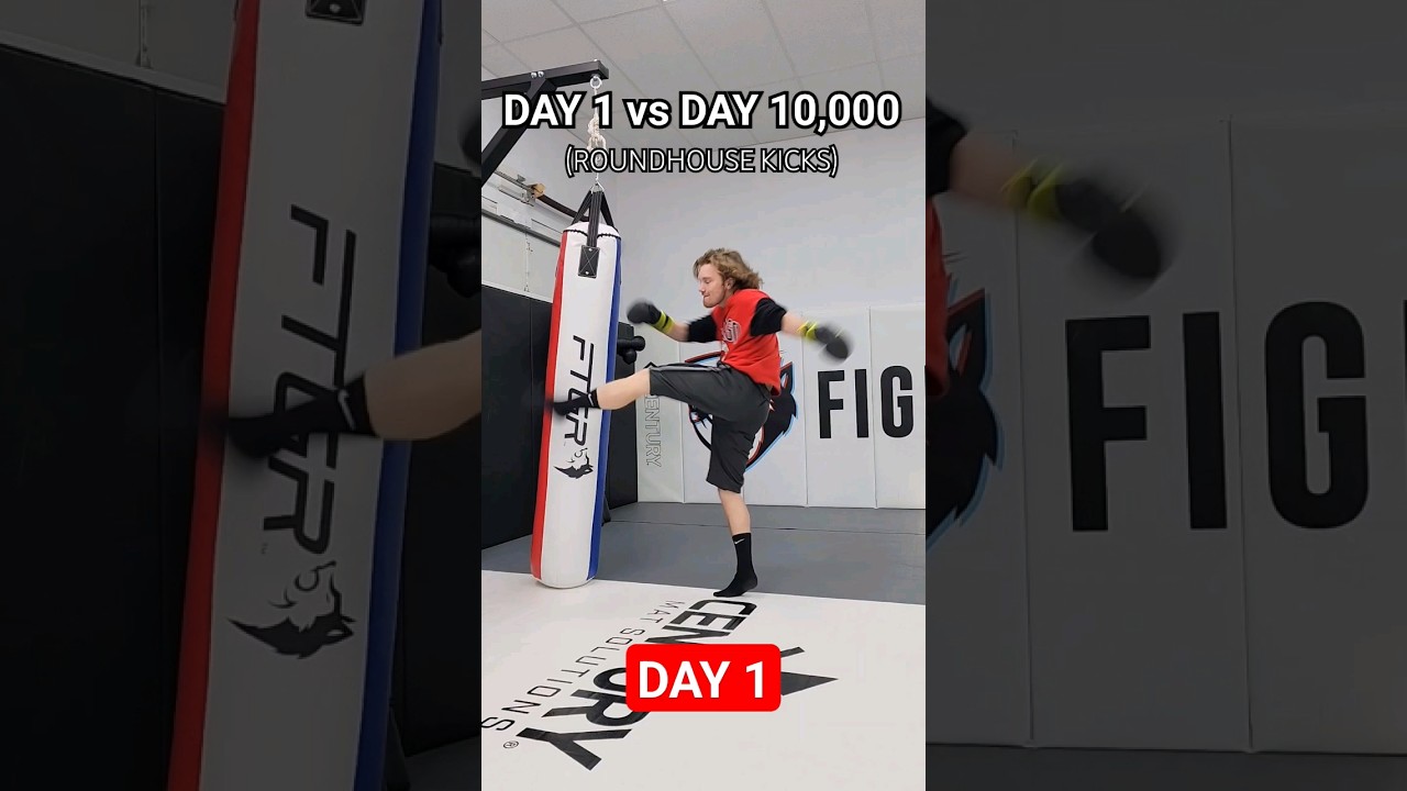 10000 days of practicing roundhouse kicks