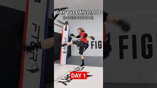 10,000 days of practicing roundhouse kicks
