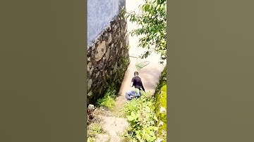 Cá Lớn - một vợt ăn cả tuần 🤣 #khacthuyvlogg