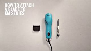 WAHL How to Attach Wahl Blades to Wahl KM Series Clippers by Wahl Animal USA 40,727 views 6 years ago 25 seconds