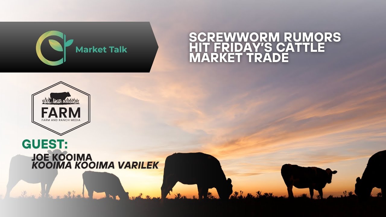 Screwworm Rumors Hit Friday's Cattle Market Trade
