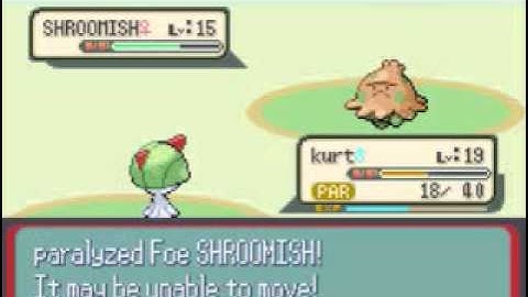 Pokemon Ruby Walkthrough Part 14 - Winstraits And Bikers