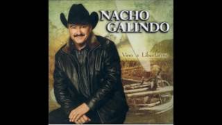 Video thumbnail of "Nacho Galindo Sigue Adelante Sigue"