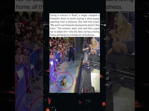 Singer Stops Fireworks