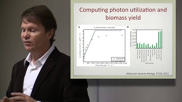 Lecture 6. Eukaryotes