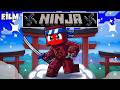 NİNJA OLUP DÜŞMANLARLA SAVAŞTIM !! - Minecraft