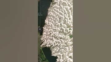 Thumbnail of Barchan Dunes After Strong winds blowing in from the Western Atlantic ||#shorts ||#brazil ||#climate