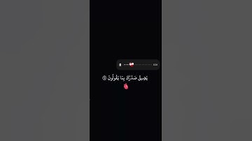 #المصحف #تلاوات #خاشعة #طمأنينة