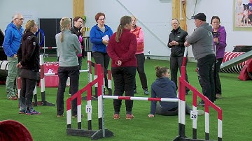 International Agility Training Week - Course walking, part 1 - preview