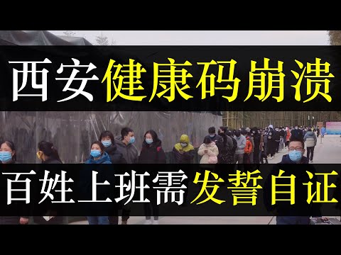 西安一码通崩溃，百姓上班先发誓自证。西安要求持报告上班，大量访问导致系统崩溃，广大市民在寒风中颤抖。排队坐车、上班民怨沸腾，政府墨迹半天终于想出良策，少亮码改登记身份证（单口相声嘚啵嘚之西安一