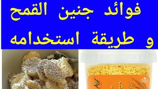 فوائد جنين القمح و طريقة استخدامه