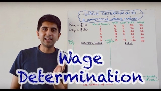 Wage Determination in a Perfectly Competitive Labour Market