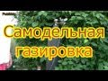 Газированная вода приготовленная дома\Soda with their hands