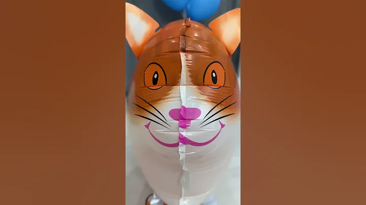 WwV1ikzS30k 720p  #exlittlebeans #funny cats #cat #funny videos #shorts