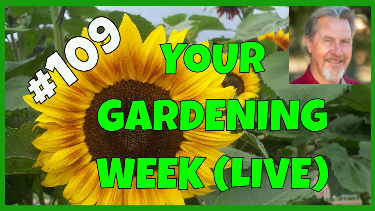 What to Plant in May - A Warning