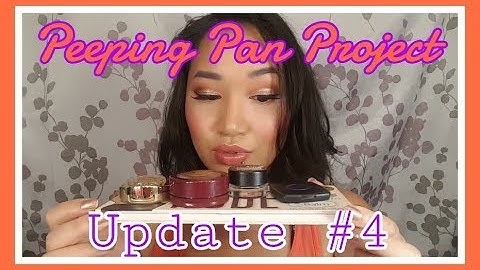 Peeping Pan Project - Update #4