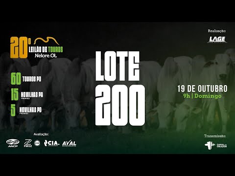 LOTE 200  5 FÊMEAS PRENHES - 20º Leilão de Touros Nelore OL