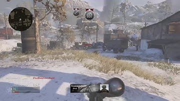 Cod:WW2 Kar98k quad feed