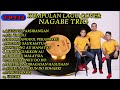 TOP12 KUMPULAN LAGU BATAK COVER NAGABE TRIO TERBARU 2022