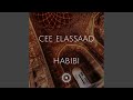 Habibi voodoo mix