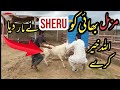 2nd VISIT TO ||AR MAANI|| CATTLE FARM After Bakra Eid 2022 |Tafreeh GONE WRONG Pakistan Media Today