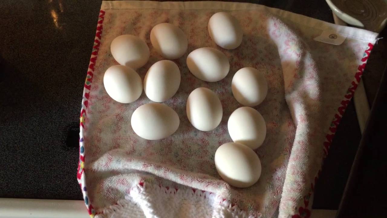 How To Easily Peel Hard Boiled Eggs Fast | Peel Boiled Egg In Seconds