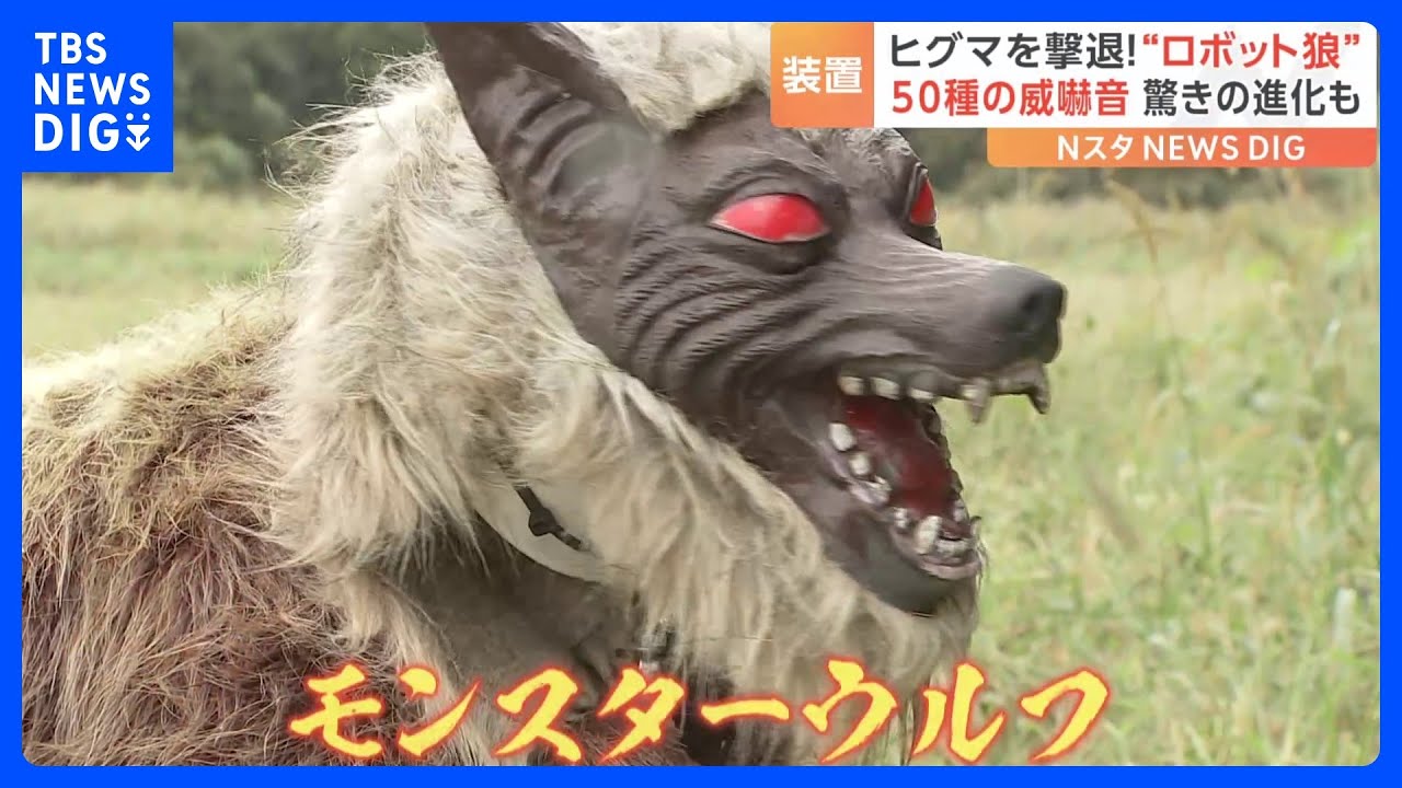 ヒグマも一目散に逃げだす！“ロボット狼”50種類超の威嚇音 自走式で