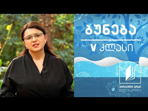 ბუნება, V კლასი - კოსმოსის შესწავლა; გახდი ასტრონომი #ტელესკოლა