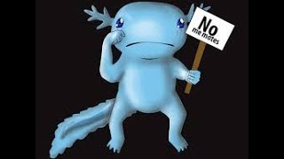"Axolote: El Misterioso Monstruo de Agua que la Ciencia Quiere Salvar"