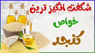 خواص کنجد سفید و سیاه پوست دار / کنجد برای چی خوبه و چگونه بخوریم / فواید روغن کنجد در طب سنتی