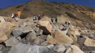 Океан. Шашлыки. Заповедник Torrey Pines / Наш San Diego Океан. Шашлыки. Заповедник Torrey Pines / Наш San Diego