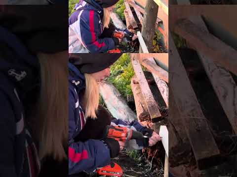 بداية بناء مزرعة الأحلام في ريف سيبيريا❤️🇲🇦🇷🇺 #مزرعة #سيبيريا