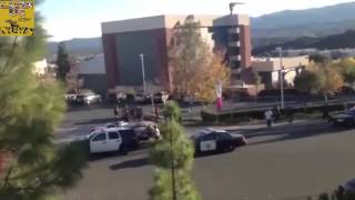 Paul Walker - Full version of His death [ All the photo of the dead ]