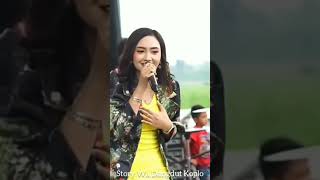 Story Wa Dangdut Koplo!!! Klebus Voc.Jihan Audy Om Nirwana!!! #shorts