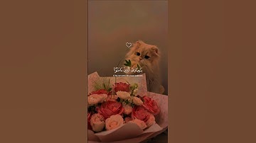 يا عبادي الذين امنوا 🌹قران كريم راحه #نفسيه استمع لي اجر ولك اجر #aesthetic 🦋🍒