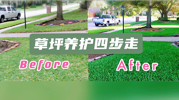 日常草坪养护，只要做到以下四点，完美草坪指日可待。 - 天天要闻