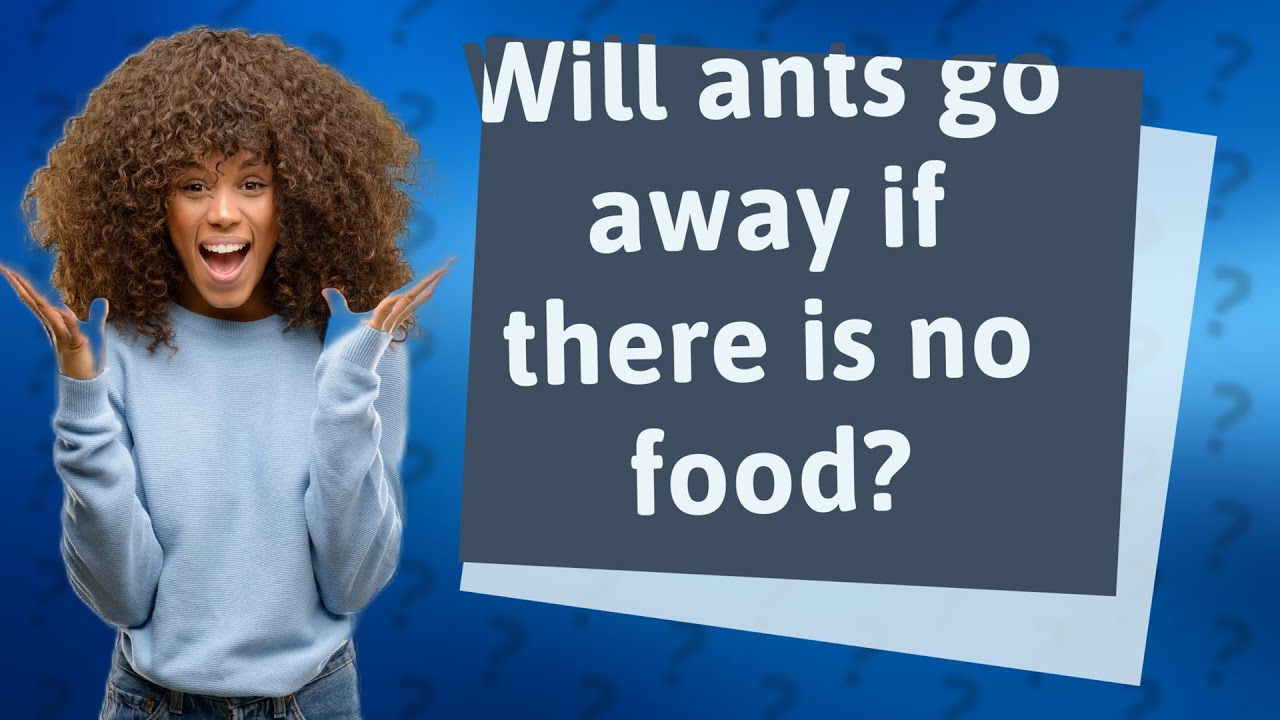 Will ants go away if there is no food? YouTube