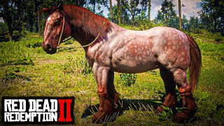 CAVALOS DE GUERRA: OS ARDENNES (O COMPÊNDIO pt.6) - RED DEAD REDEMPTION 2