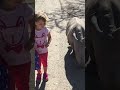 Adorable Baby Rhino Strolls With Little Girl Adorable Baby Rhino Strolls With Little Girl