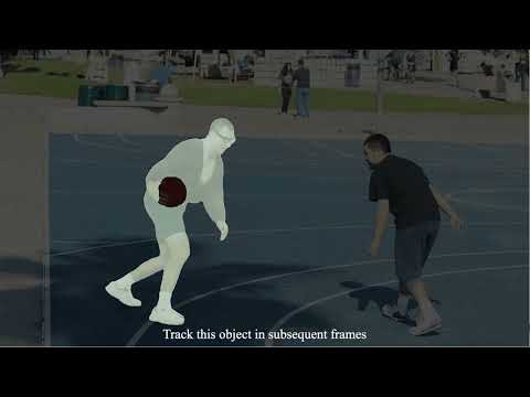 Interactive Segment-and-Track-Anything Demo1