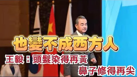 王毅：头发染得再黄鼻子修得再尖　也变不成西方人 - 天天要闻