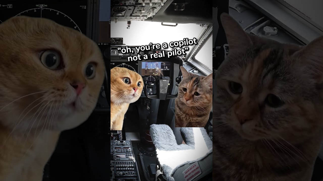 The Sad Life Of A Pilot 