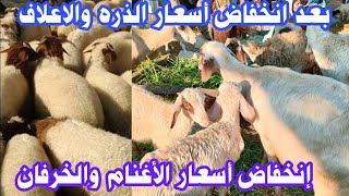 الخرفان اللحم والغنم الوالده والخرفان الصغيره بأسعار زمان فرصه للشراء اسعار سوق الأغنام