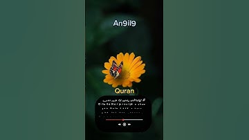 سورة الزخرف تلاوة رهيبة تسكن القلوب🤍🌷 #quran #islam #music #explore فإما نذهبن بك فإنا منهم منتقمون